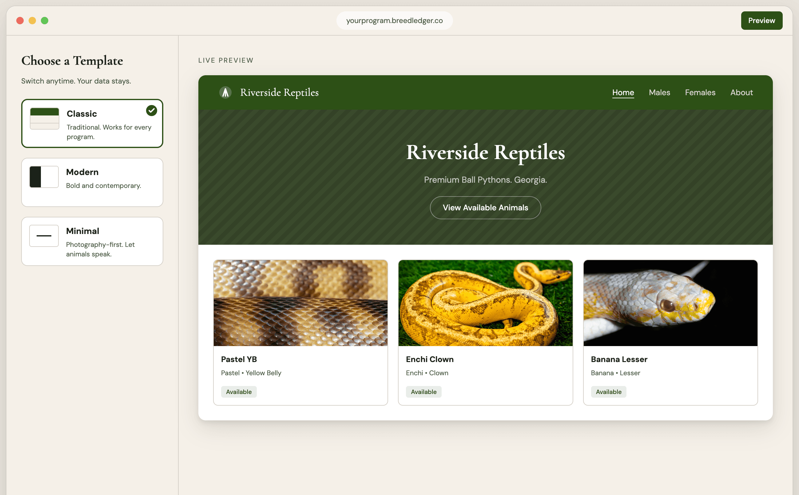 Template selector and live preview
