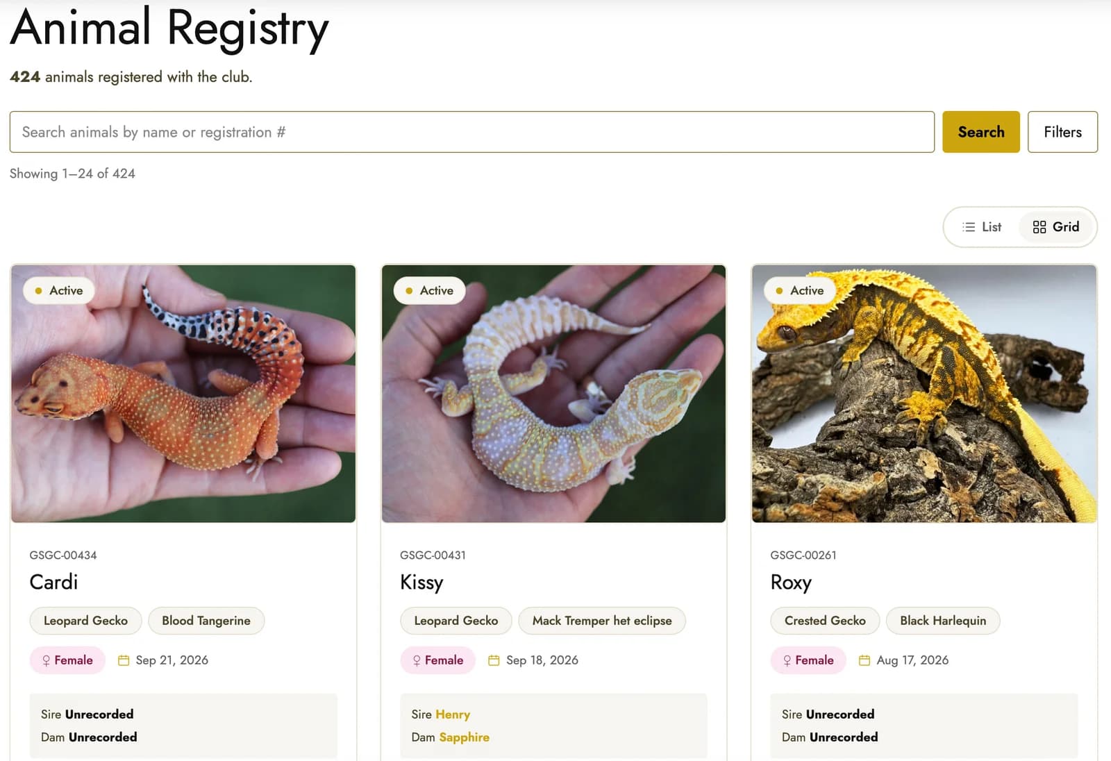 Registered geckos displayed as searchable animal cards in the Gold Standard Gecko Club registry