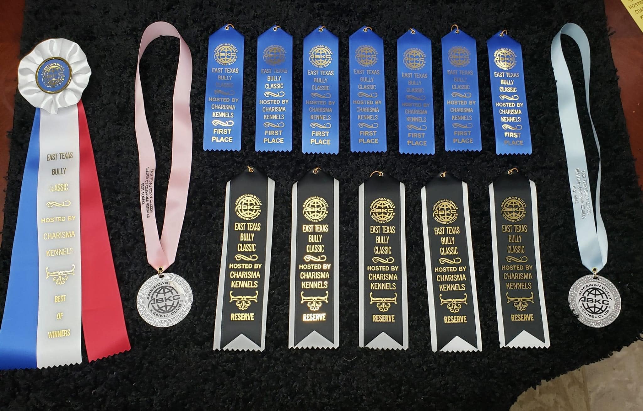 American Bully at a dog show